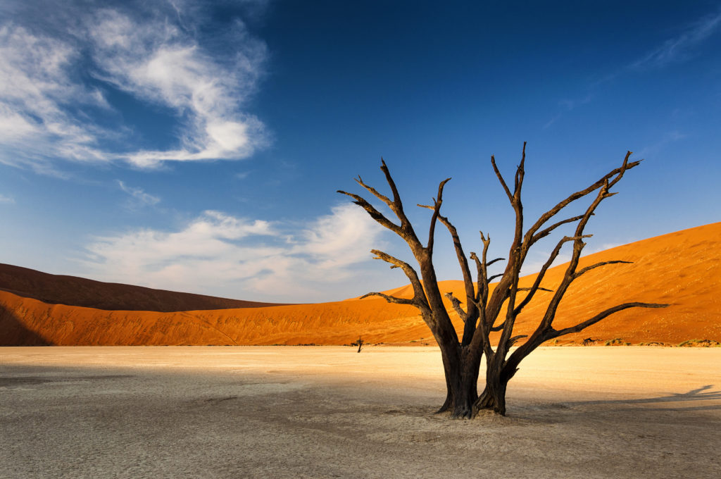 צילום: Tiago Fernandez/Dollarphotoclub